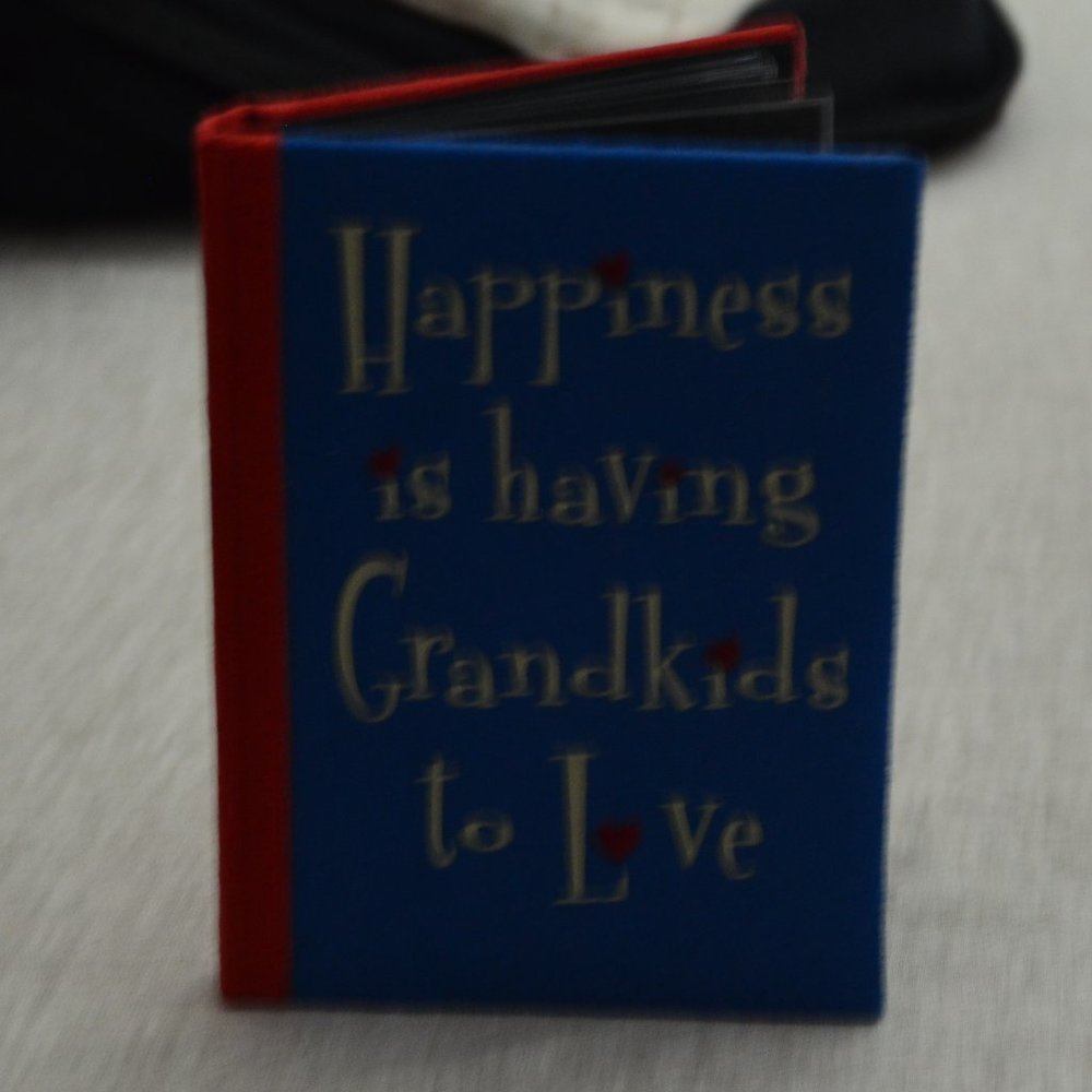 Mini Photo Album